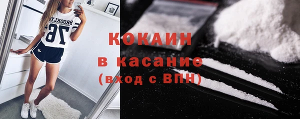 ГАЛЛЮЦИНОГЕННЫЕ ГРИБЫ Ельня