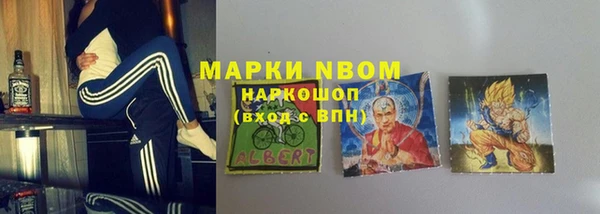 ГАЛЛЮЦИНОГЕННЫЕ ГРИБЫ Ельня