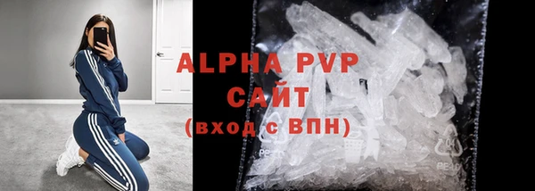 ГАЛЛЮЦИНОГЕННЫЕ ГРИБЫ Ельня