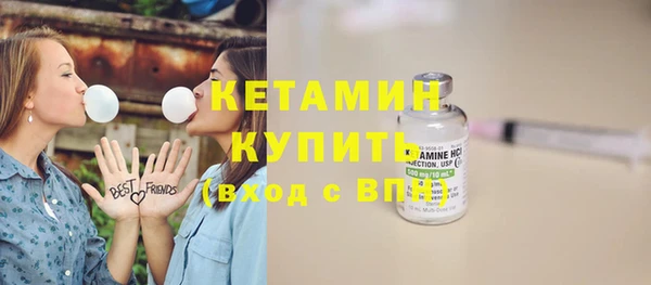 ГАЛЛЮЦИНОГЕННЫЕ ГРИБЫ Ельня