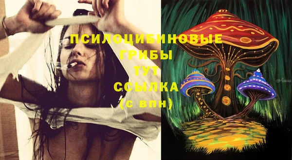 PSILOCYBIN Елабуга