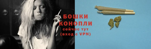 ГАЛЛЮЦИНОГЕННЫЕ ГРИБЫ Ельня