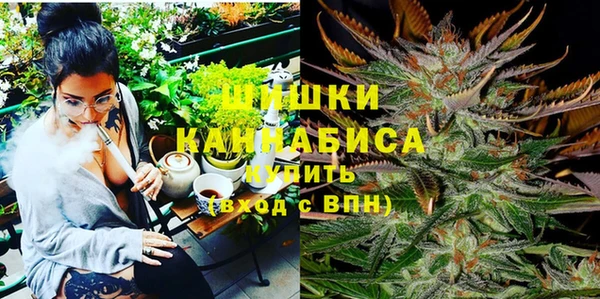 ГАЛЛЮЦИНОГЕННЫЕ ГРИБЫ Ельня