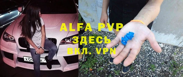ГАЛЛЮЦИНОГЕННЫЕ ГРИБЫ Ельня