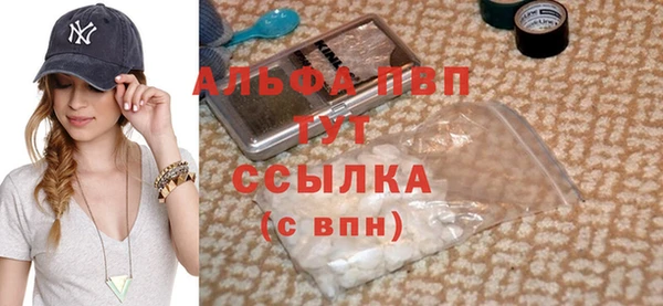 ГАЛЛЮЦИНОГЕННЫЕ ГРИБЫ Ельня