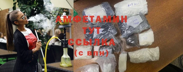 ГАЛЛЮЦИНОГЕННЫЕ ГРИБЫ Ельня