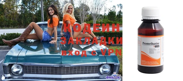 ГАЛЛЮЦИНОГЕННЫЕ ГРИБЫ Ельня