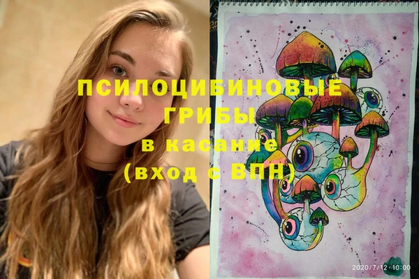 ГАЛЛЮЦИНОГЕННЫЕ ГРИБЫ Ельня