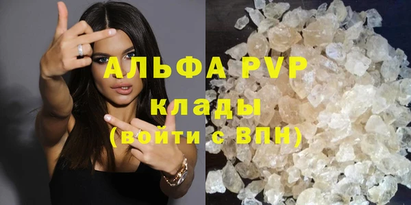 PSILOCYBIN Елабуга